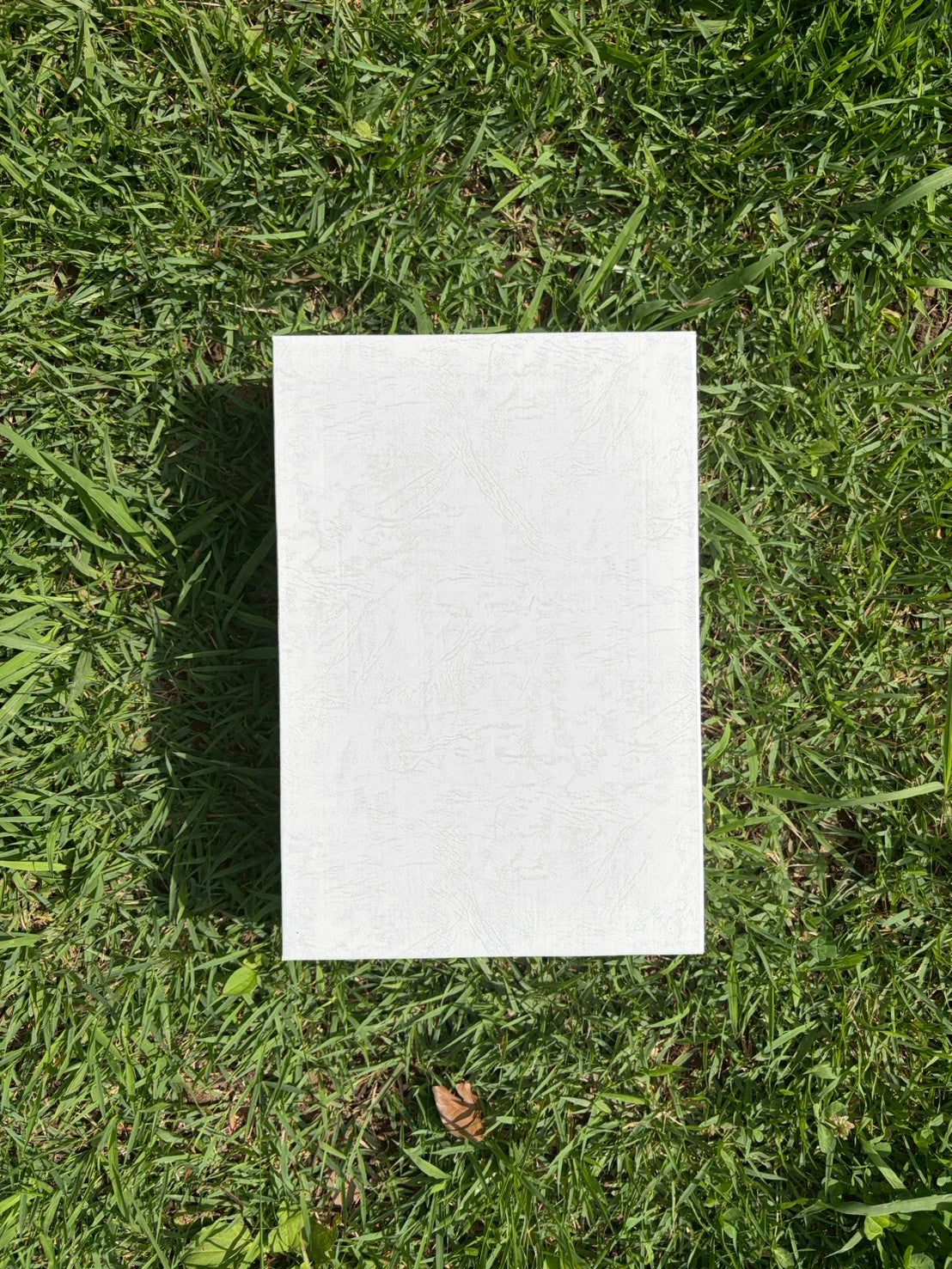 アップルジュース 七雪 (1L瓶)
