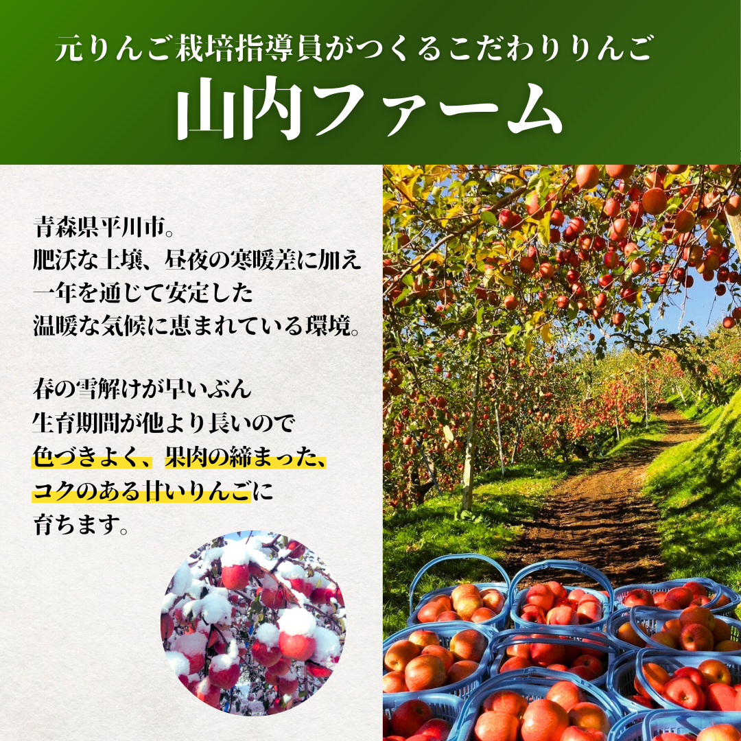 サンふじ小玉家庭用